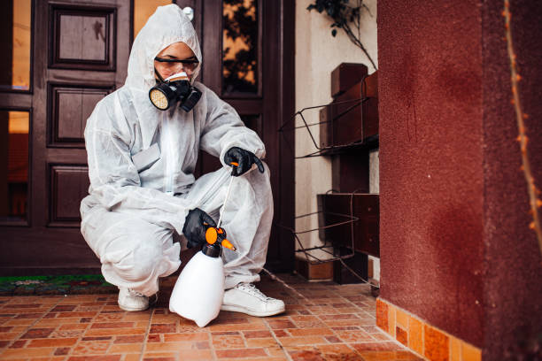 Reliable Bed Bug Control contractor in Sicklerville, NJ by Nex Pest Control